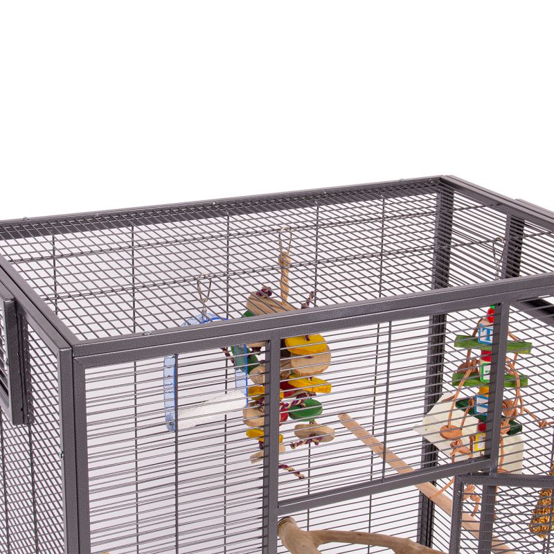 Voliere New Melbourne I